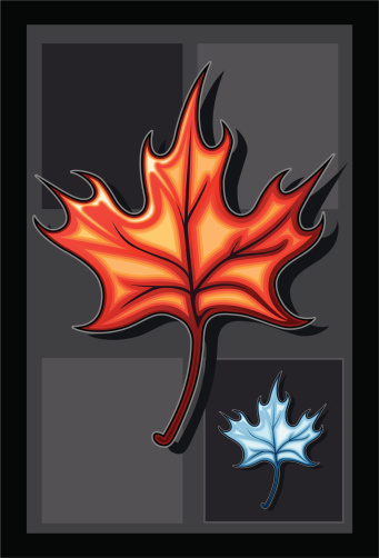 Vector file of stylized maple leaf with simple gradients used.