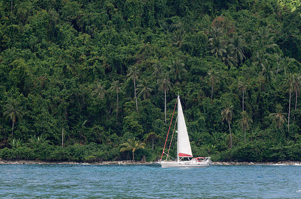istock White sailing ship with tropical coast 151674922