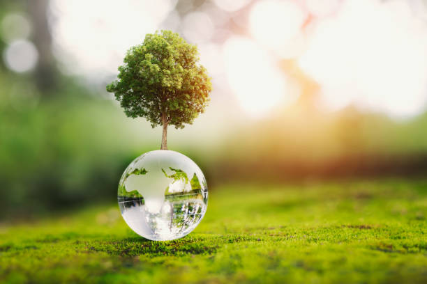 istock tree growth on globe glass in nature. concept eco earth day 1516761406