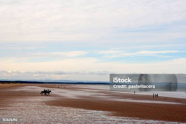 Low Tide In St Andrews Scotland Stock Photo - Download Image Now - Beach, Horizontal, Horse