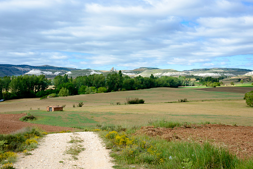 foreground of a whitish dirt road, next to a recently plowed orchard, in the background a field and the forest, in the background the silhouette of the mountains and the sky blue sky with white clouds.