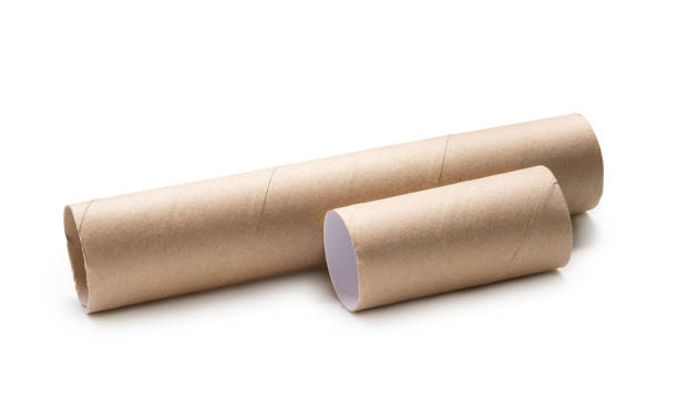 istock Long and short tissue paper cores isolated on white background with clipping path. 1516799060