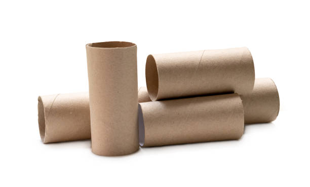 istock Long and short tissue paper cores in stack isolated on white background with clipping path. 1516799062