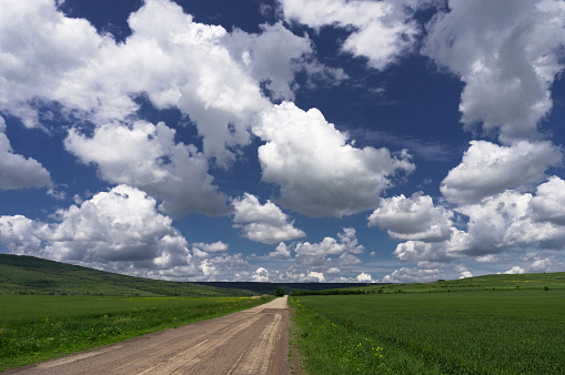 road in field in summer. cumulus clouds in blue sky