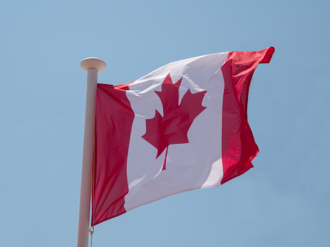 Canada the Canadian national flag waving in the wind on a flagpole with blue sky background.