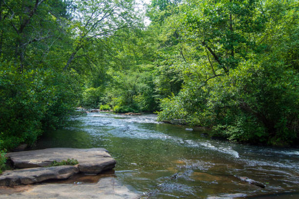 istock Line Creek Nature Area 1516896600