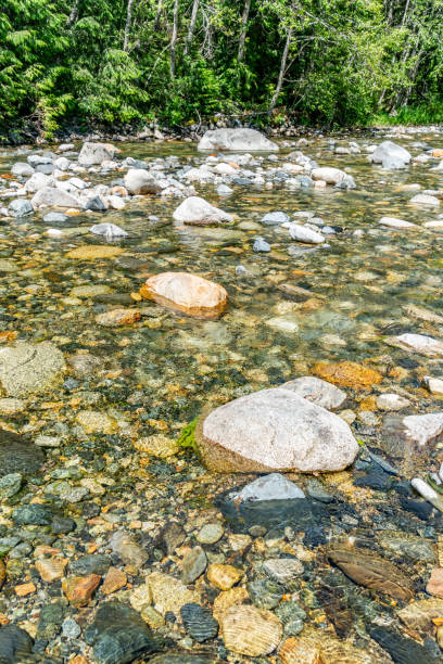 istock Clear Mountain Rocky Creek 4 1516897155