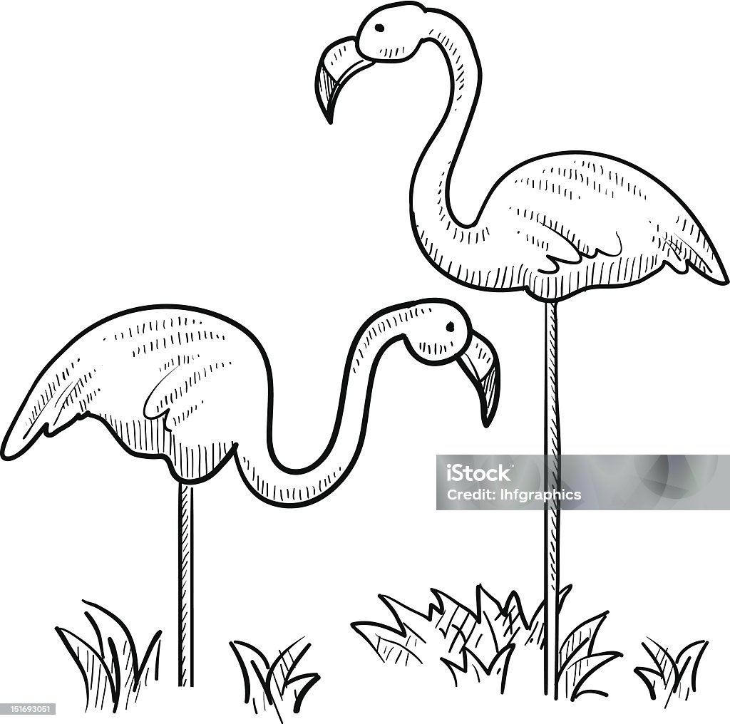 Flamingo pájaro boceto - arte vectorial de Accesorio de jardín libre de derechos