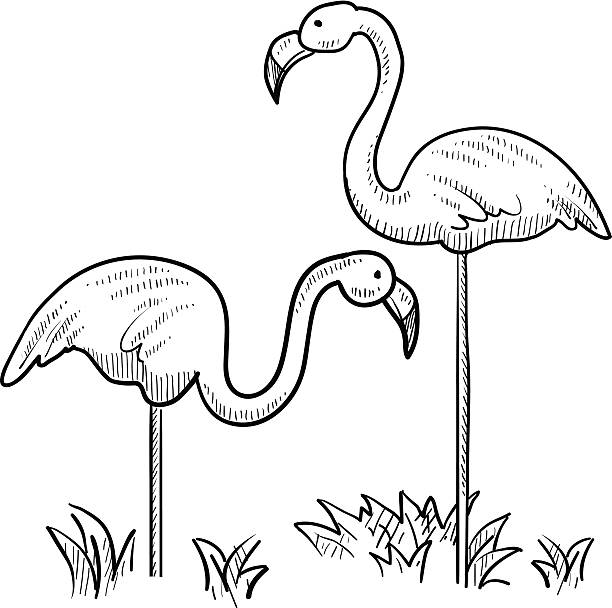 フラミンゴ鳥スケッチ - flamingo bird isolated animal leg点のイラスト素材／クリップアート素材／マンガ素材／アイコン素材