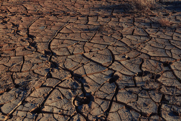 istock Cracked ground in desert at sunset 1516965425