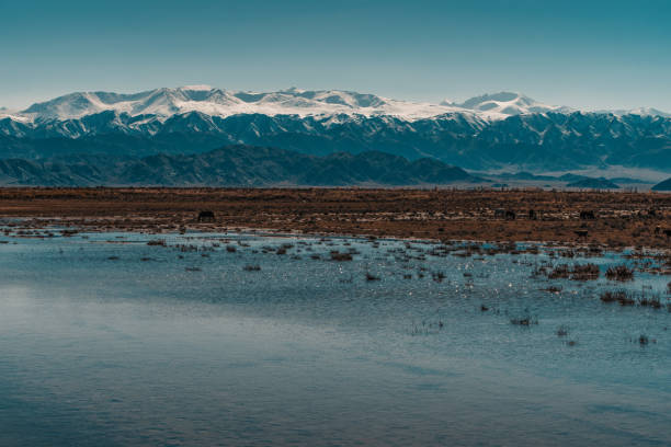 paysage de haute montagne avec petit lac, kirghizistan - 11877 photos et images de collection