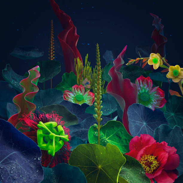 istock Beautiful blossom night jungle garden 1516993879