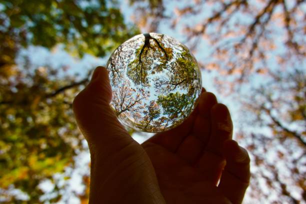 istock Crystal ball against trees during autumn 1517005482