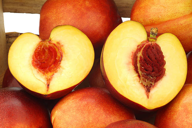 istock fresh nectarines and a cut one in wooden crate 151702532