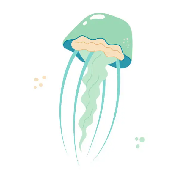 Vector illustration of Jellyfish cartoony flat decoration. Hand-drawn poisonous medusa, marine oceanic inhabitant, simple nautical character design.