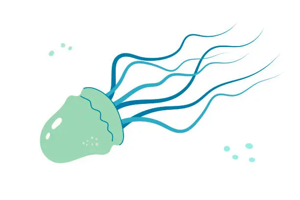 Vector illustration of Jellyfish cartoony flat decoration. Hand-drawn poisonous medusa, marine oceanic inhabitant, simple nautical character design.