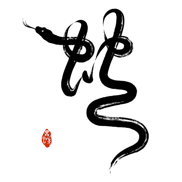 calligraphie chinoise penmanship: serpent - écriture coréenne photos et images de collection