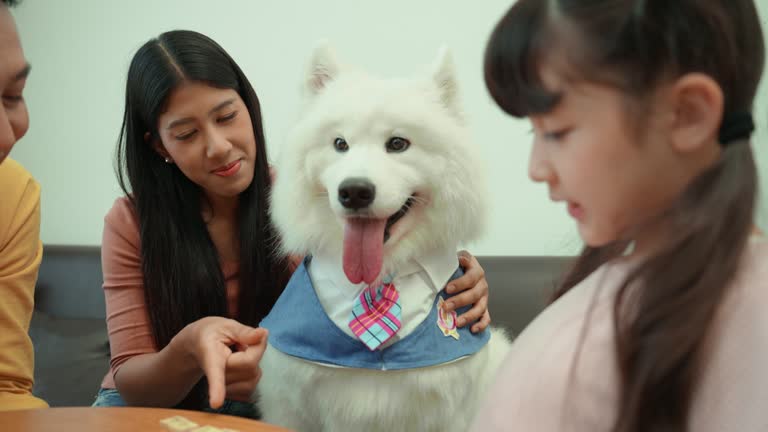 A Samoyed in the The woman is helped to understand the meaning of the puzzle by her Asian father and daughter.