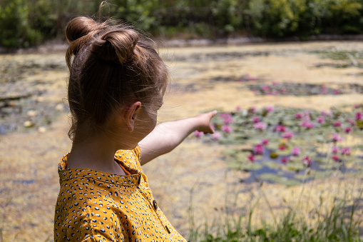Small girl in a yellow dress pointing to the lake full of flowers. High quality photo