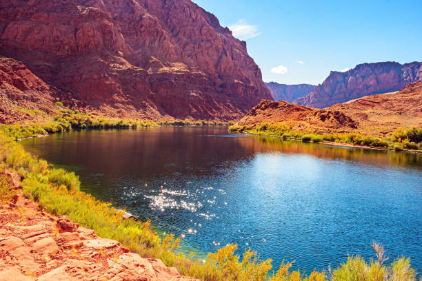 istock The water of the Colorado River 1517129986