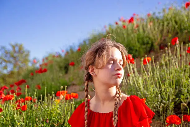 Young girl with braids wearing a red dress in the middle of a poppy field during spring