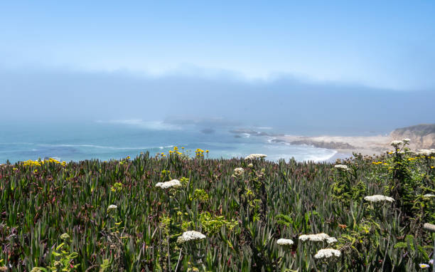 istock Rugged Coastline near Half Moon Bay, CA 1517184492