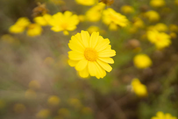 Taken in Half Moon Bay, CA