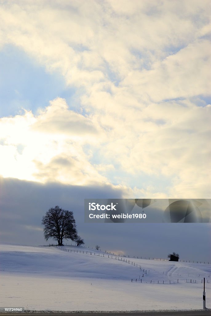 Einsame Baum im Schatten Winter-Landschaft - Lizenzfrei Anhöhe Stock-Foto