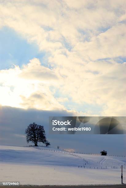 Einsame Baum Im Schatten Winterlandschaft Stockfoto und mehr Bilder von Anhöhe - Anhöhe, Asphalt, Baum