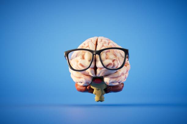 istock The concept of continuous learning. Brain with glasses on a blue background. 3D render 1517272359