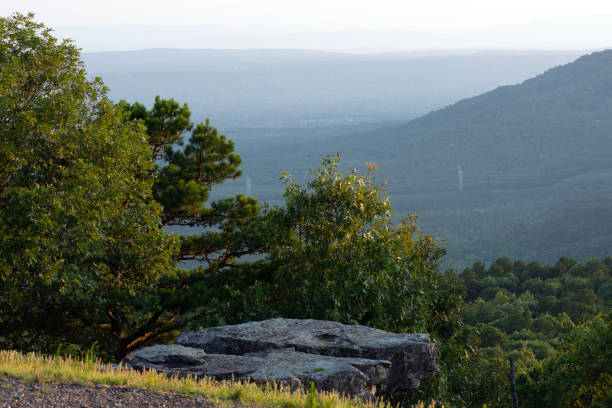 istock Trees and rocks with mountains in the background. 1517283551