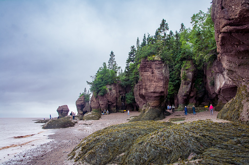 Bay of Fundy, Canada - August 12, 2015:People walk on the bottom of the Bay of Fundy as the tide is out on an overcast day