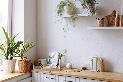 Stylish modern white kitchen with wood counter top against white wall and shelves with house plants. Ceramic dishes and kitchen utensils stand on a wooden tabletop.