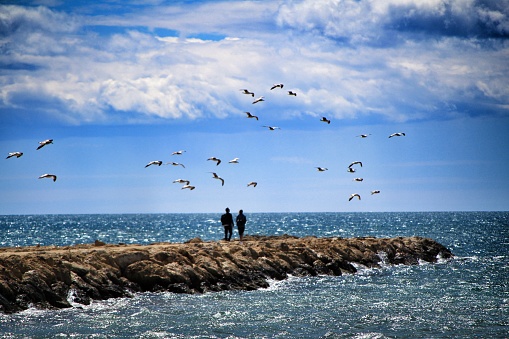 Walking day surrounded by seagulls on a breakwater under the sun in Santa Pola, Spain