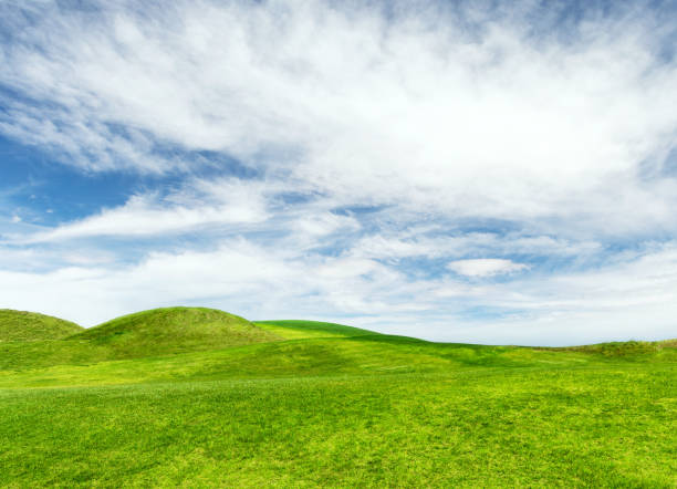 istock Landscape with green grass field under a blue sky 1517335039