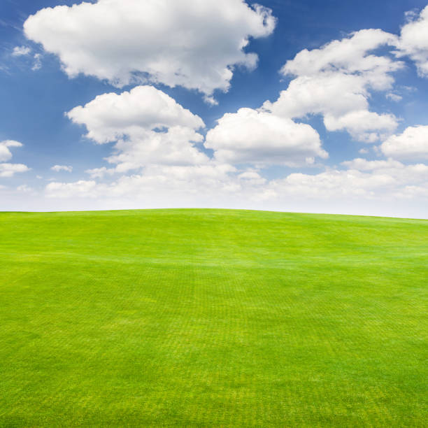 istock Landscape with green grass field under a blue sky 1517336087