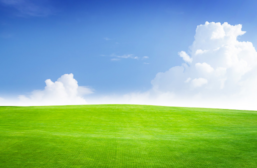 A picturesque summer landscape featuring a lush green grass field stretching under a blue sky with scenic clouds