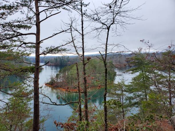 istock Southern Winter Lake Island 1517377758