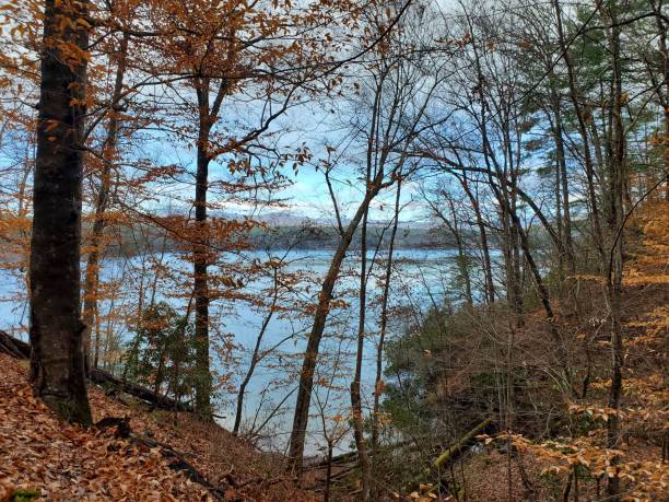 istock Wooded Late Autumn Lake View 1517377769