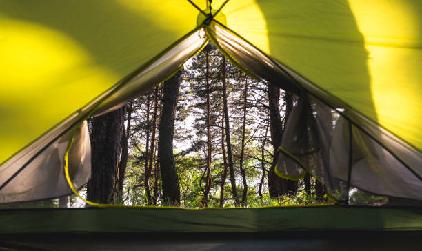 istock Morning in the tent at nature 1517396023