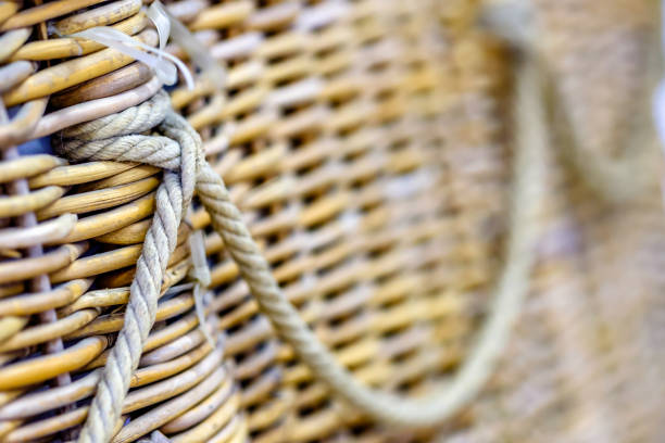 typical basket at a market - photo