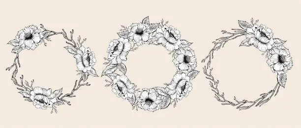 Vector illustration of Chines peonies flower wreath frame for design card or invitation