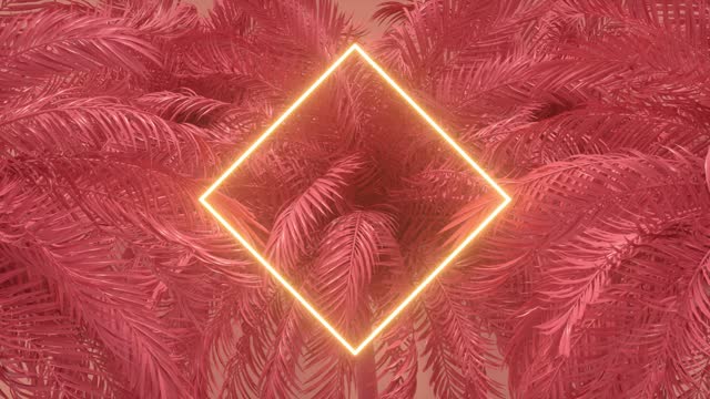 Neon lighting frame with palm trees, summer animation background