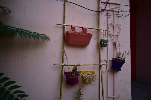 istock flower pots hanging on a wall 1517518454