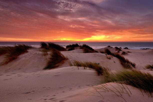 istock highs and lows , Winch Dunes, Cascais, Portugal 1517603791