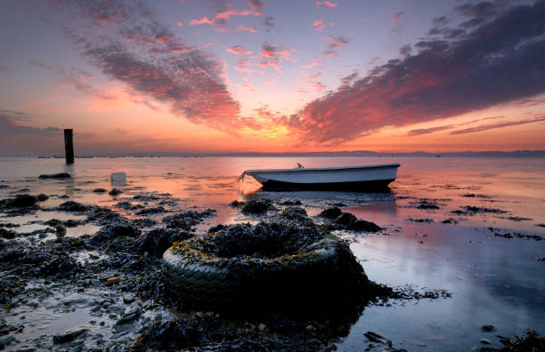 New forms on the river , Tagus river, alcochete, Portugal