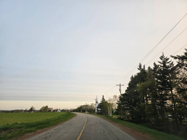 istock Rural Road in Morning 1517636041