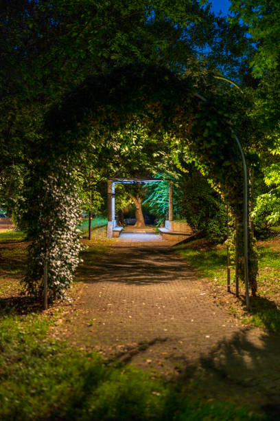 Public garden by night