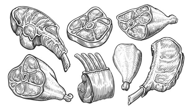 肉製品のセットスケッチ。ビーフステーキ、ハム、ラムリブ、ポーク、チキンレッグ。肉屋の品揃えベクターイラスト - meat butchers shop raw market点のイラスト素材／クリップアート素材／マンガ素材／アイコン素材