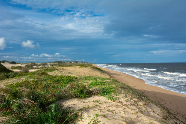 istock Untouched sand dune in brazil 1517791427